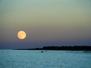 Stagione di crisi, fra cellulari, storni, luna e stella a braccetto