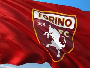 Toro scatenato
