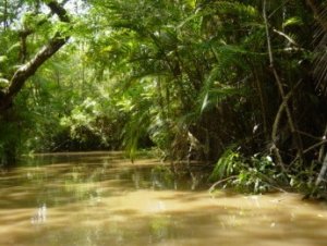 L'Amazzonia che non ti aspetti