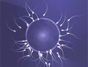 Contraccezione: novità per lui