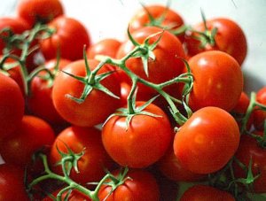 Ateronon, al via la sperimentazione di massa