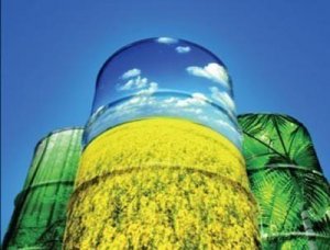 Biodiesel, carbonio a piene mani