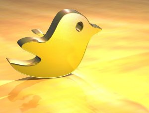 Twitter racconta il suo 2012: i tweet più condivisi sono di Obama e Bieber
