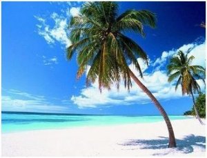Visit Santo Domingo