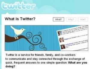 Twitter: la grande noia o la rivoluzione?