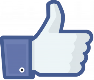 Facebook: pianeta virtureale