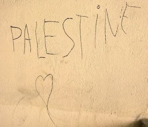 Liberate gli attivisti Pro Pal del Golden Gate!
