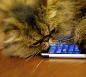 Innamorati dell'iPhone: ce lo dice una "ricerca"