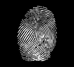 Le librerie come le "impronte digitali" di un individuo