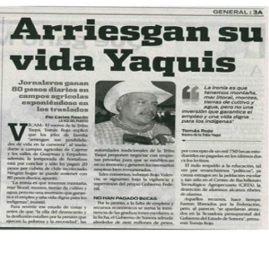 yaquis