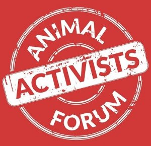 Animal Activists Forum. La conferenza di Melbourne
