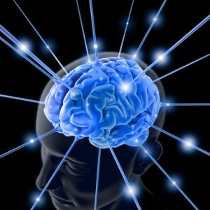 Fisica dell'informazione e neuropsicofisiologia