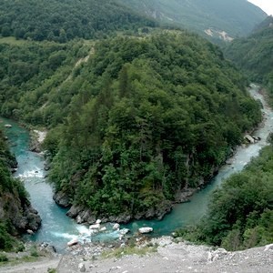 Quella foresta e l'incanto italico possono fare prezzo