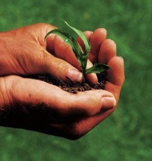 Agricoltura e ambiente: la scelta giusta