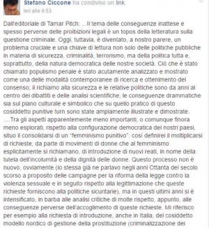 Del Femminismo Punitivo