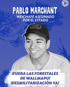 Cile: lo Stato contro i mapuche