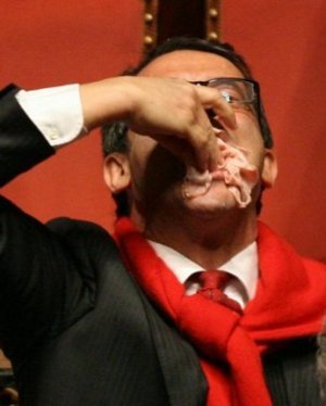 Il Rubyvoto: qualche considerazione che mi sgorga da cuore... e da un po' più in giù
