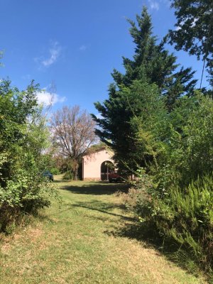 Nasce il parco naturalistico e di scultura "Anna Serena Zambon" a Piazze di Cetona
