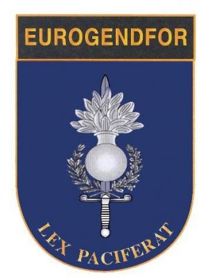 Eurogendfor: cosa potrebbe nascondersi dietro il corpo militare europeo