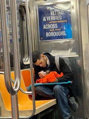 La (in)cultura metropolitana