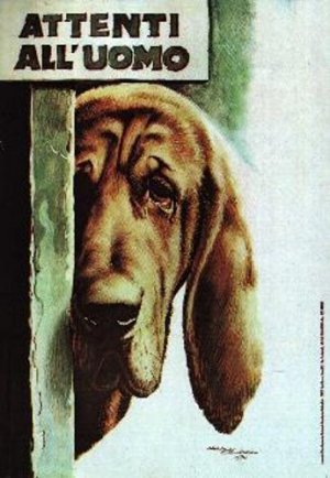 Cani: continuano gli attacchi. Il randagismo in Italia