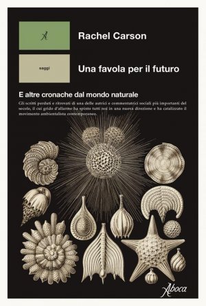 Alcune visioni e riflessioni sulla vita e sul futuro