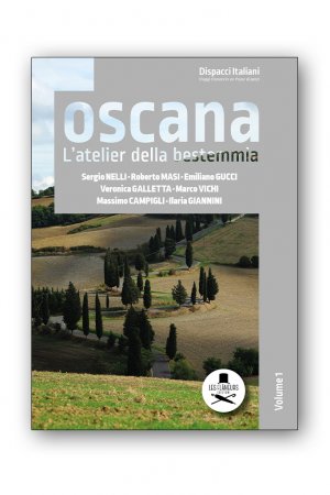 “Dispacci Italiani. Viaggi d'amore in un Paese di pazzi. Vol. 1: Toscana. L'atelier della bestemmia”, a cura di Davide Grittani