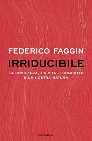 Irriducibili. Viaggio all'interno della fisica e della mente