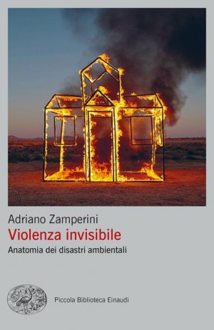 Violenza ambientale
