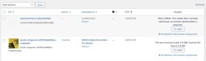 Screenshot of the Imagify plugin.