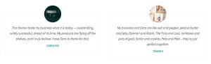 Screenshot of a Website Testimonial Section.