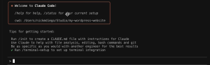 Screenshot of the Claude Code welcome message.