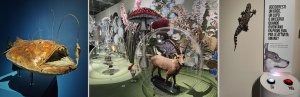 Comprendere il mondo in cui viviamo