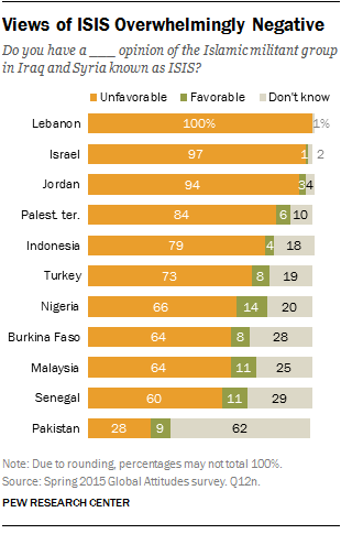 Views of ISIS Overwhelmingly Negative