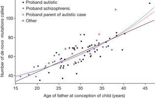 Father/'s age and number of de novo mutations.