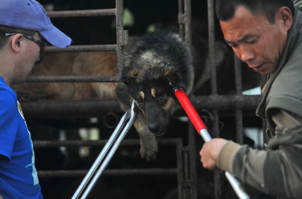 cani-liberazione-008