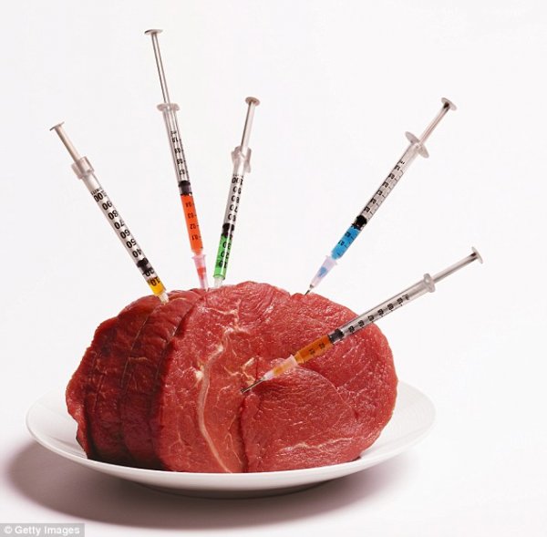 Con L Antibiotico Si Può Mangiare L Uovo L’antibiotico-resistenza? E’ legata al consumo di carne, pesce