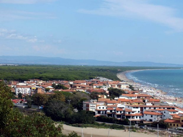 La pineta vista da Castiglione della Pescaia